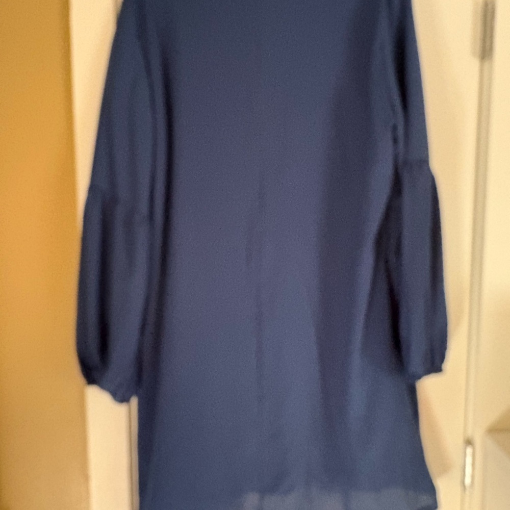 Blue Long Sleeve V-Neck Dress - Picture 3 of 4